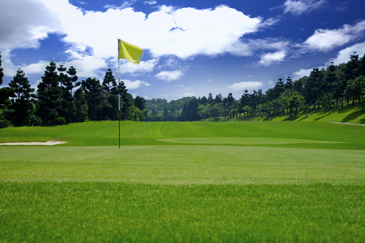 �s���Y�̊Ӓ�]���Ɋւ���@��